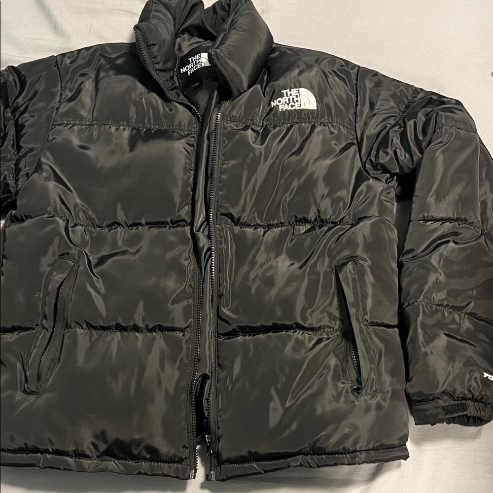 The North Face Men's Dark Puffer Jacket